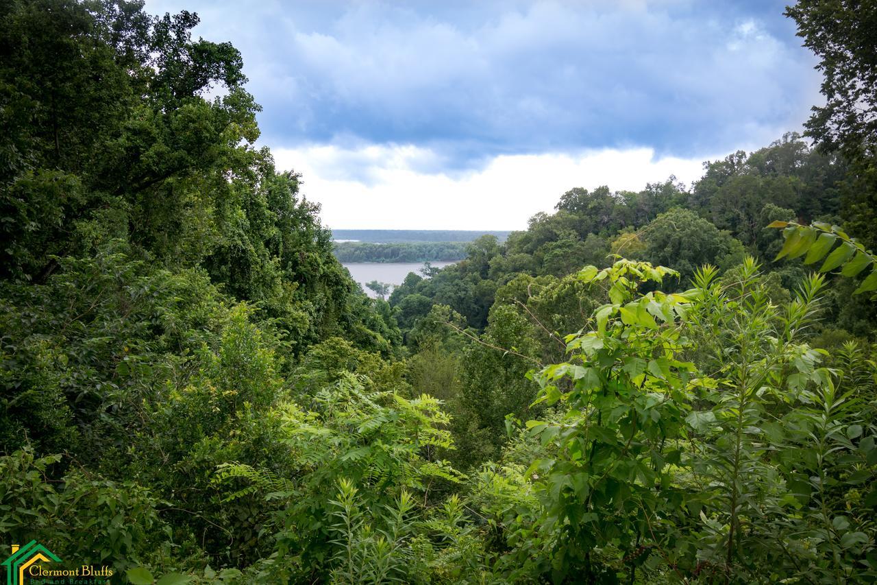 Clermont Bluffs Bed & Breakfast Натчес Екстериор снимка